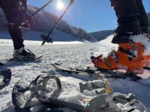 Discover Abruzzo by Snowshoeing or Skiing (Self-guided Tour) gallery