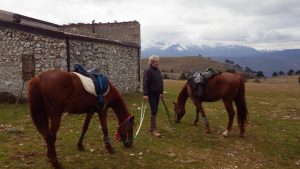Trekking a cavallo sulle tracce di Celestino V gallery
