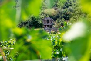 GUIDED VISIT TO VALLE REALE, THE MOUNTAIN WINE-MAKERS gallery