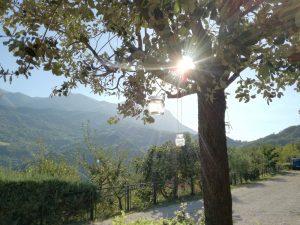 Wellness Retreat in Abruzzo gallery