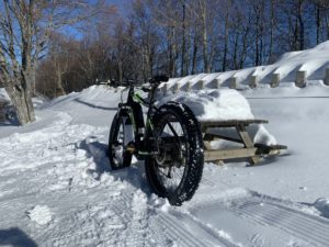 Pedalare sulla neve con le FAT Bike e Mountain Bike elettriche gallery