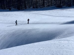 Cross-country skiing at Voltigno gallery