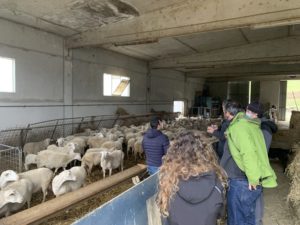 Una giornata con il pastore fra le montagne del Gran Sasso gallery