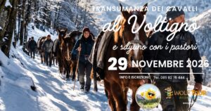 Transumanza dei Cavalli al Voltigno + Sdijuno dei Pastori (la ricca colazione tradizionale), 29 Novembre 2026 gallery